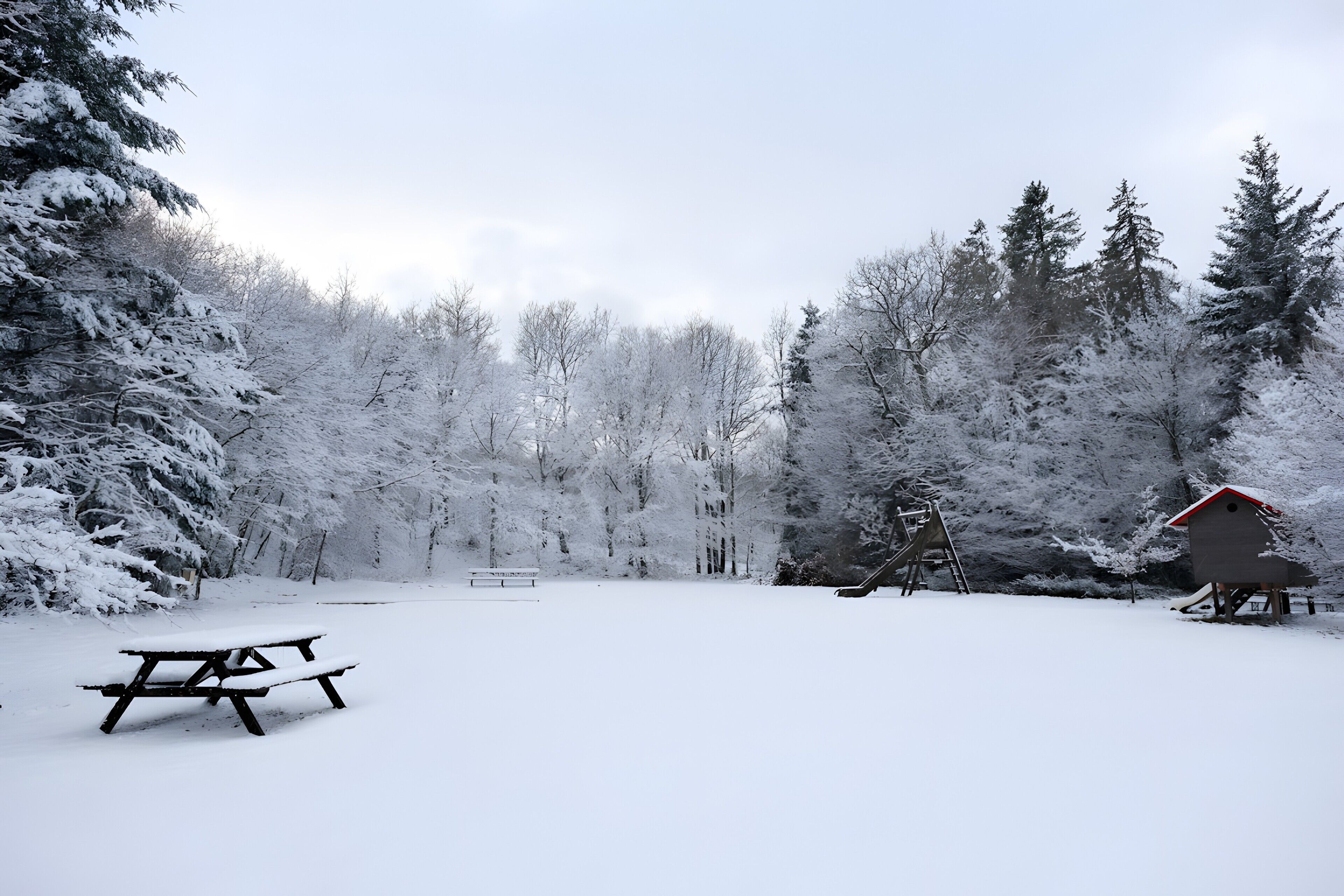 Ein mit Schnee bedecktes Picknicktischchen und ein Vogelhaus in einem Wald.