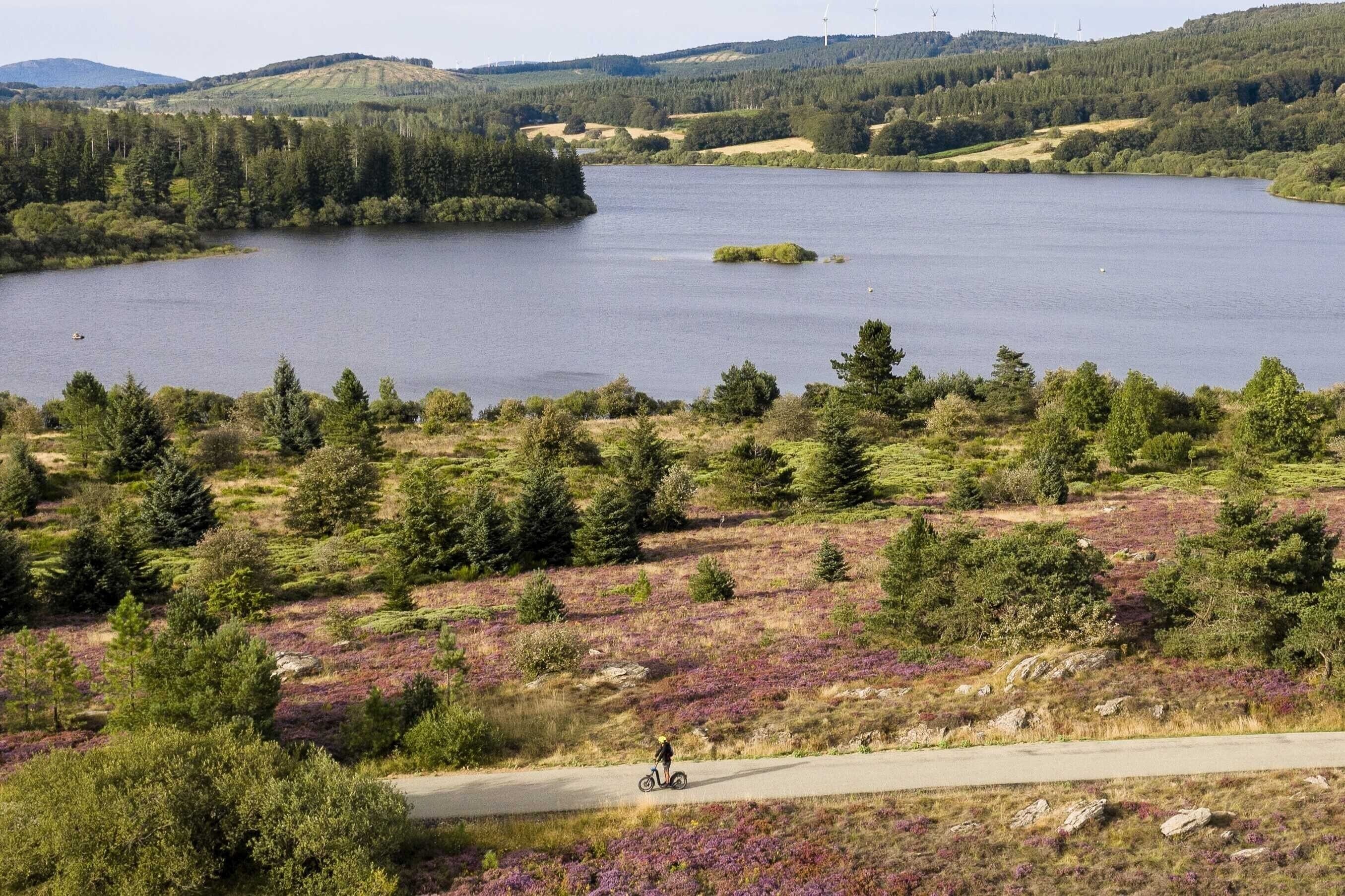 Et naturskønt landskab med en sø, skov og en vej med en person på løbehjul.