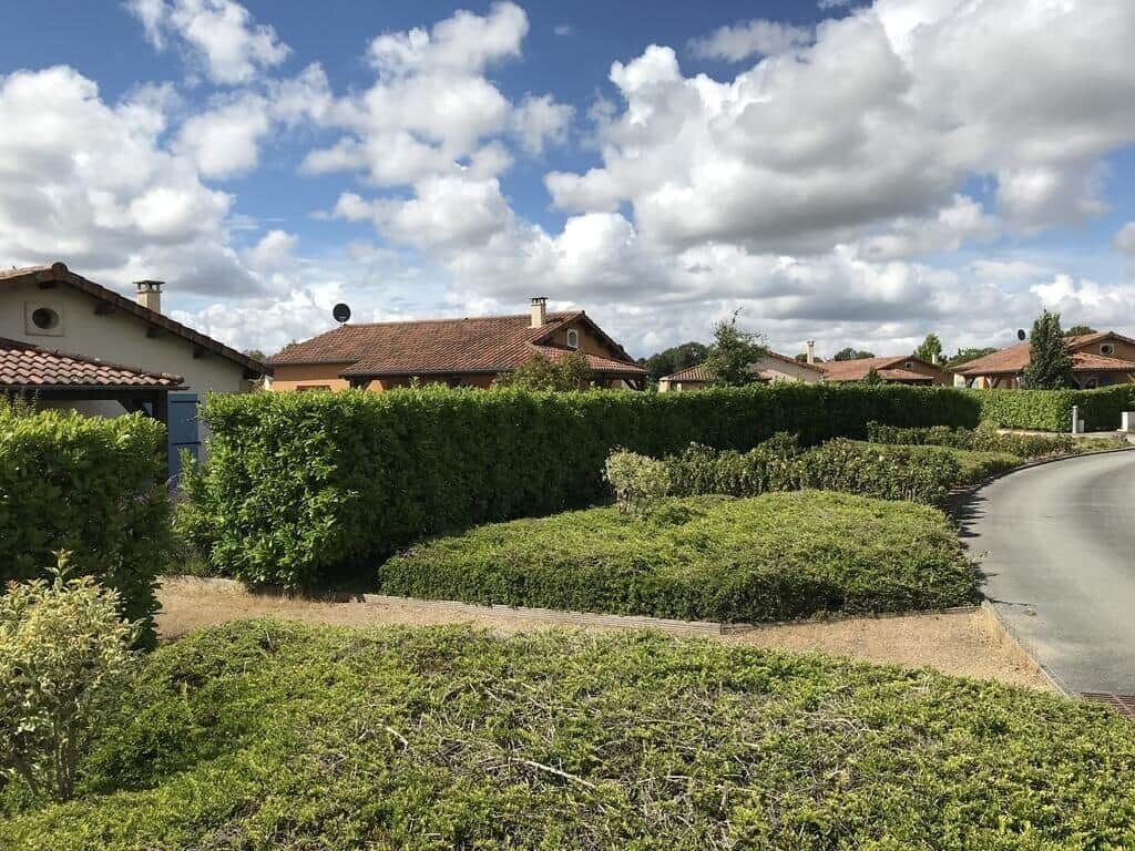 Et boligområde med huse, en snoet vej og velplejede hække.