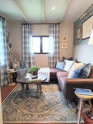 Smart TV, fireplace, books