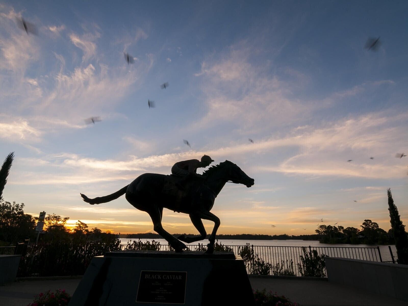 A statue of a horse and rider, labeled 'Black Caviar,' set against a sunset sky with birds flying around.
