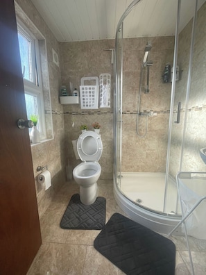 A bathroom with a toilet, a shower, and a glass-enclosed shower stall.