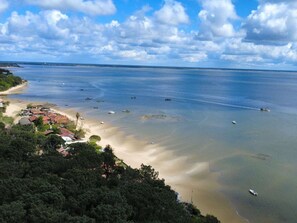 Beach - Villa 100m from the beach, parking - 12 guests (Lège-Cap-Ferret)