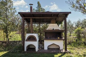 Property grounds - Cozy villa with beautiful large garden (NEA POTIDAIA)