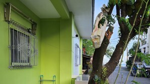 A room with a green wall, a window with decorative bars, a long white table, and a tree outside.
