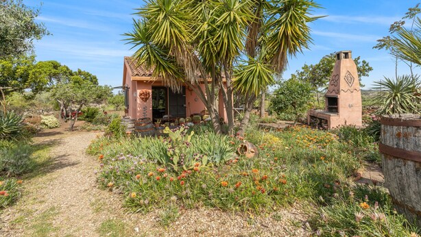 Un edificio rústico con un sendero de jardín que conduce a una puerta, rodeado de diversas plantas y una palmera alta.