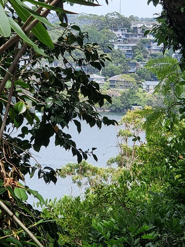 Un paysage verdoyant et luxuriant, avec une végétation dense et une étendue d’eau en arrière-plan.
