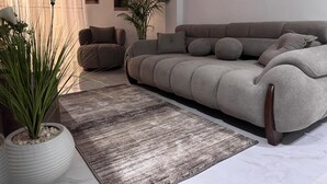 Una sala de estar con un sofá gris, un sillón pequeño, un tapete estampado y una planta en maceta.