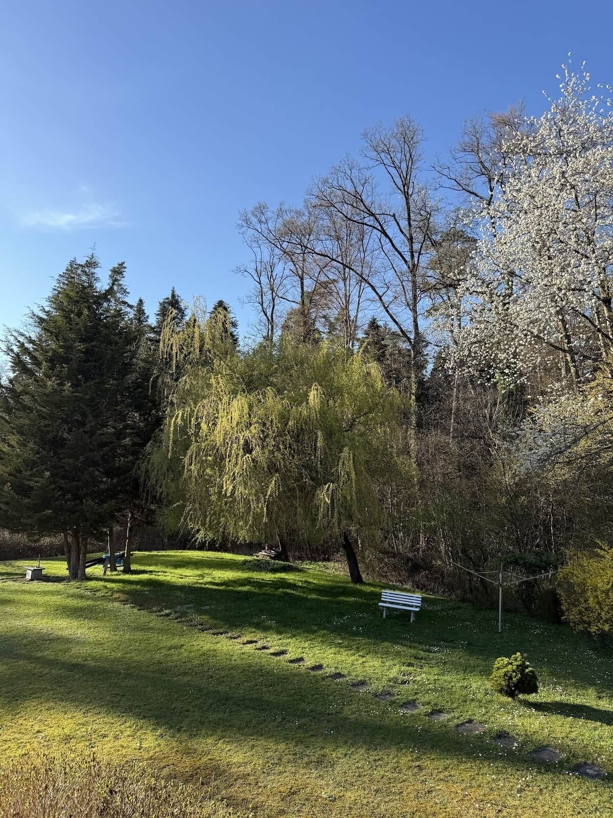 A park with a bench, trees, and a clear sky.