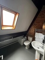 A small, modern bathroom with a skylight, a toilet, a sink, and a shower area.