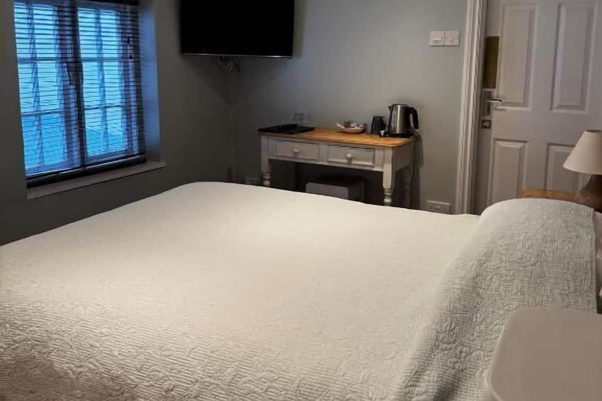 Un dormitorio con cama, escritorio, televisor y puerta.