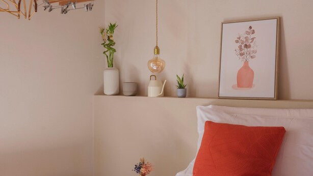 A bedroom with a bed, a hanging light fixture, a framed picture, and a wooden shelf with plants.