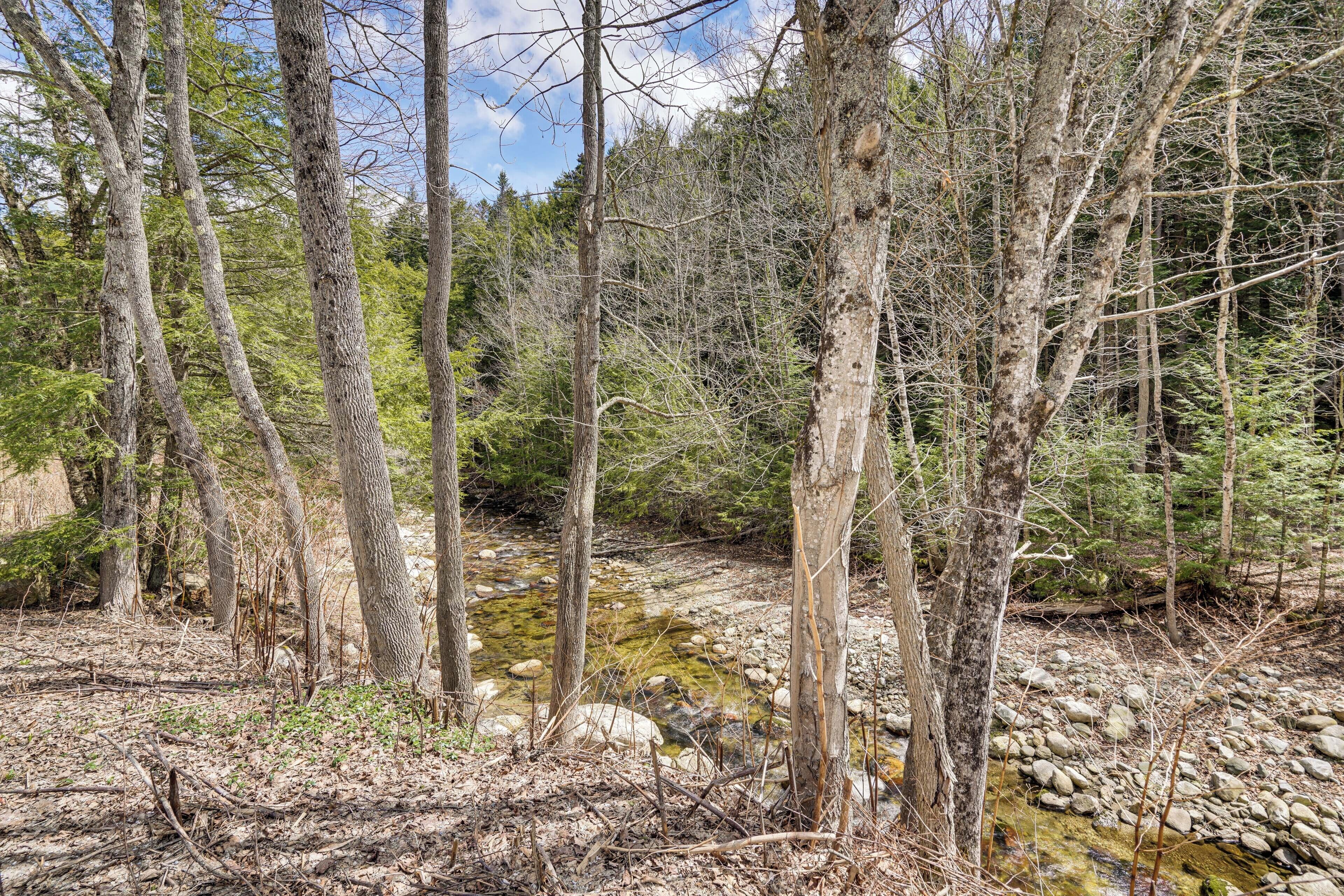 A forested area with a stream, trees, and rocky terrain.