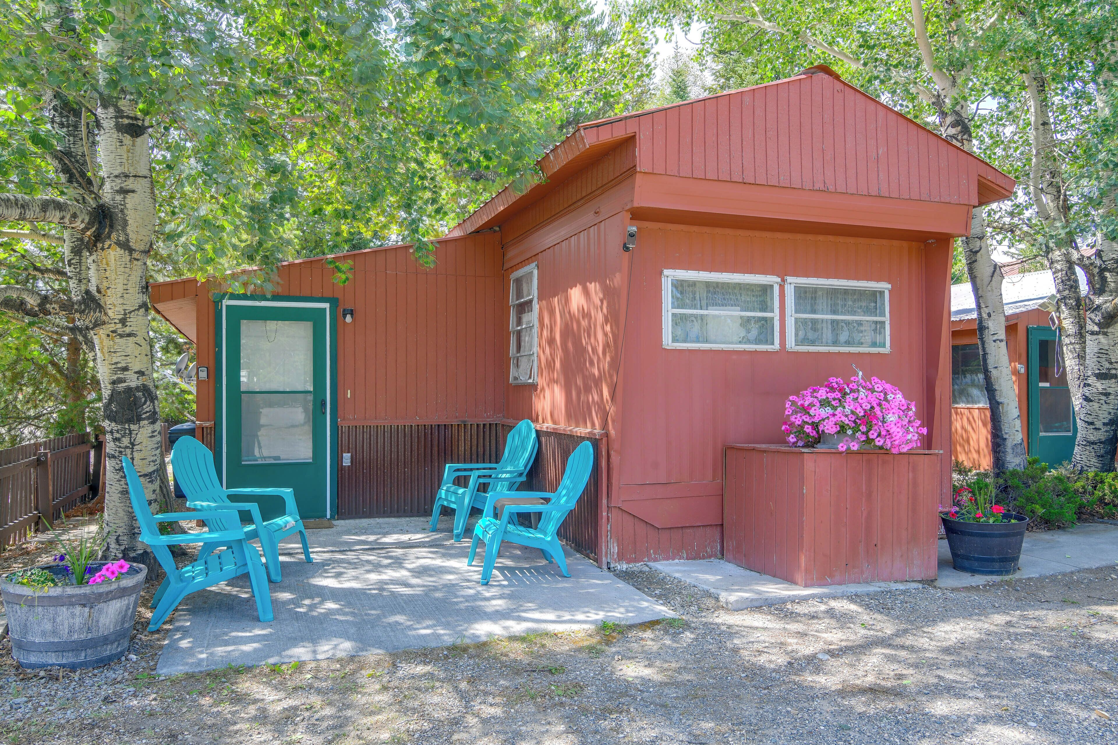 A small, red wooden structure with a green door and windows, surrounded by birch trees.