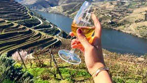 A hand holding a wine glass with a vineyard and river in the background.