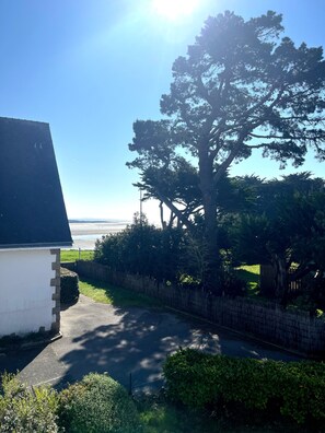Ett bostadsområde med ett stort träd, ett vitt hus och utsikt över havet.
