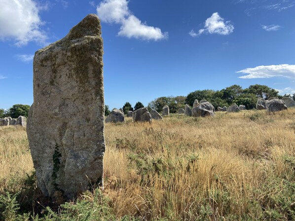 Ein großer Steinhügel in einem grasbewachsen Feld, im Hintergrund Bäume.