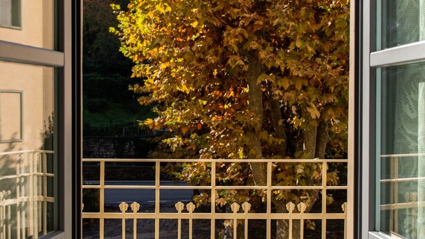 Blick durch eine Glastür mit Metallgeländer, ein Baum mit Herbstlaub und eine gepflasterte Fläche.