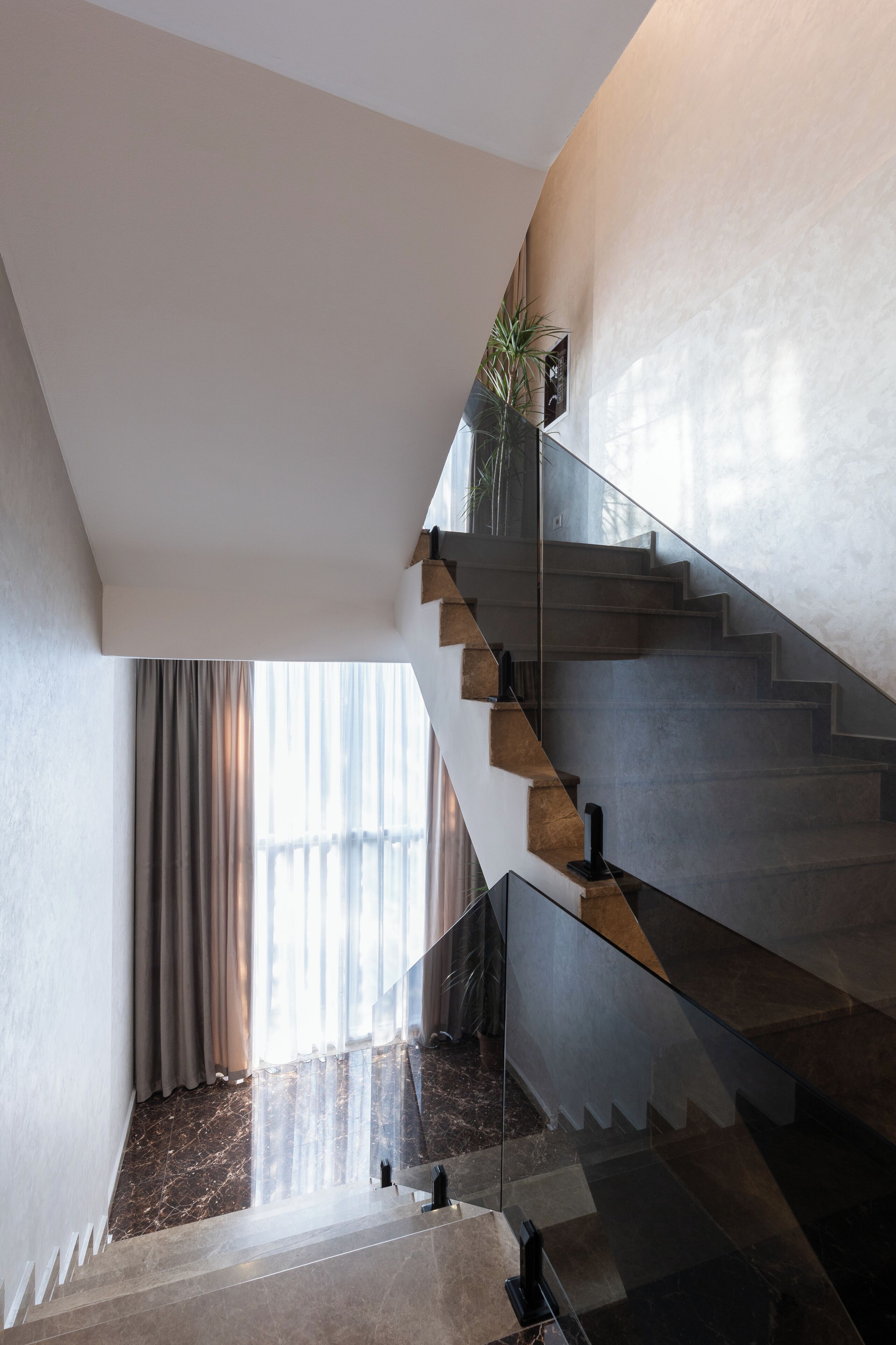 A modern staircase with glass railings and a plant on the landing.