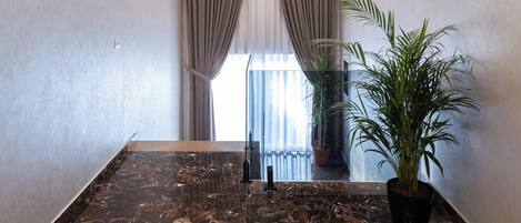 A modern interior with a marble floor, a potted plant, and a view through a glass door.
