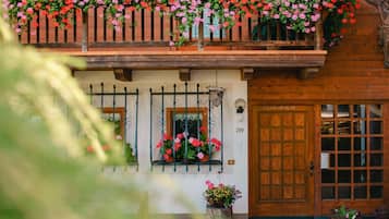 Detalle exterior
