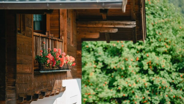 Un bâtiment en bois doté d’un balcon, d’une fenêtre avec des volets et d’une jardinière remplie de fleurs.