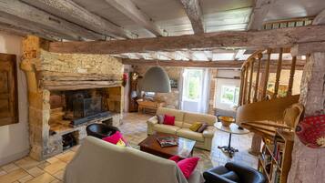 TV, fireplace, books