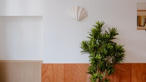 A room with a wooden panel wall, a white wall with a shell decoration, and a green plant. - Babylon Montmartre (Paris)