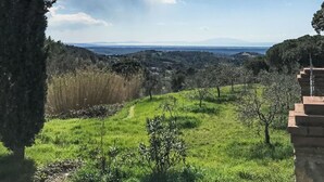Property grounds - La Casetta di Mali by Interhome (Riparbella)