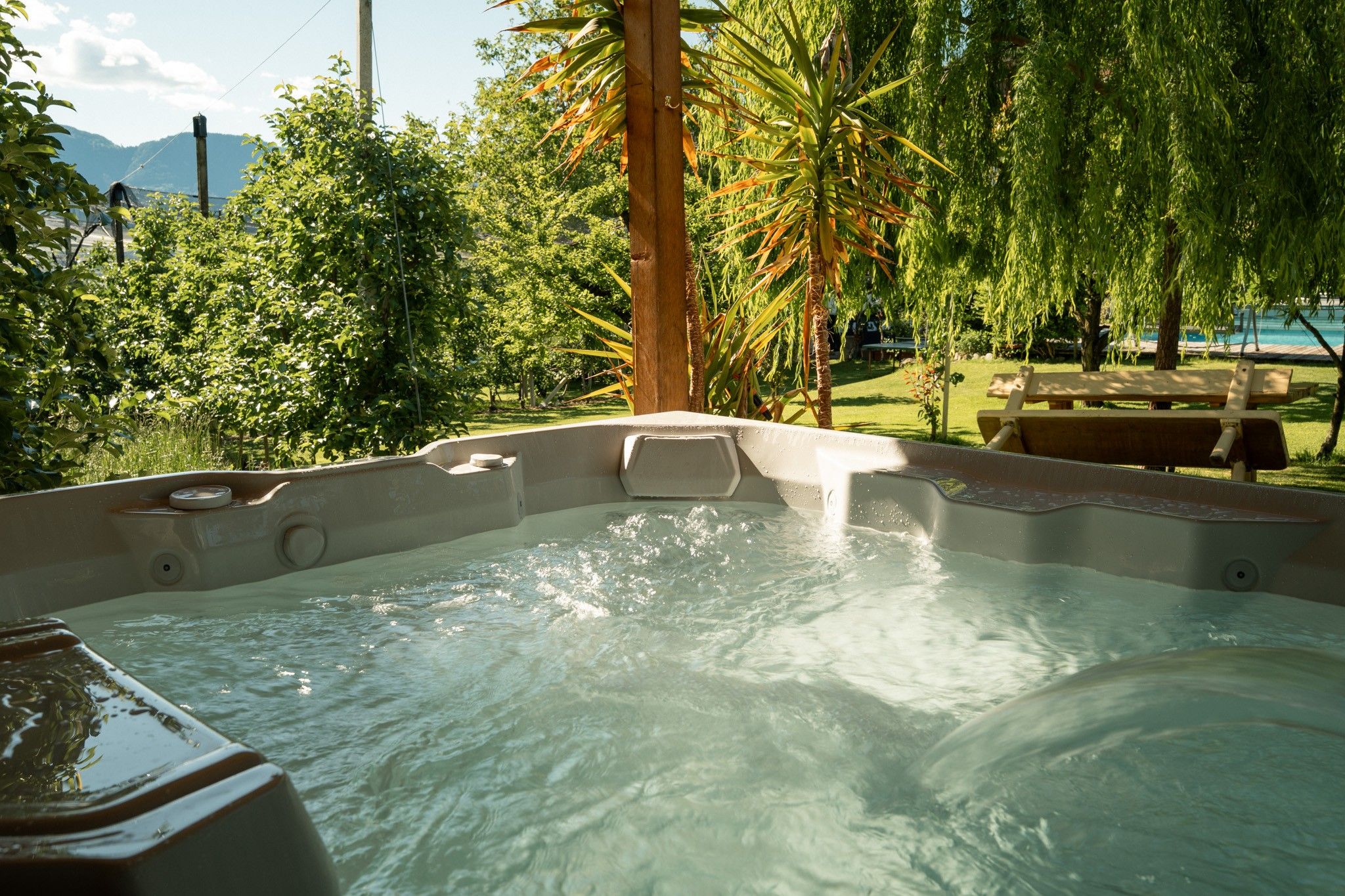 A hot tub surrounded by lush greenery and a bench.