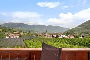 A vineyard with rows of grapevines, a town in the valley, and mountains in the background.