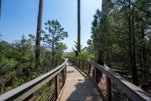 A wooden boardwalk in a forest with tall pine trees. - 27523 Medallion Ave., The Peninsula ~ (Millsboro)