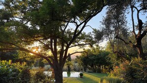 A pathway leading to a body of water, surrounded by trees and greenery. - Villa Rossi Danielli (Lazio)