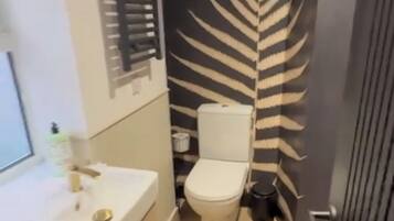 Hair dryer, towels, soap, toilet paper