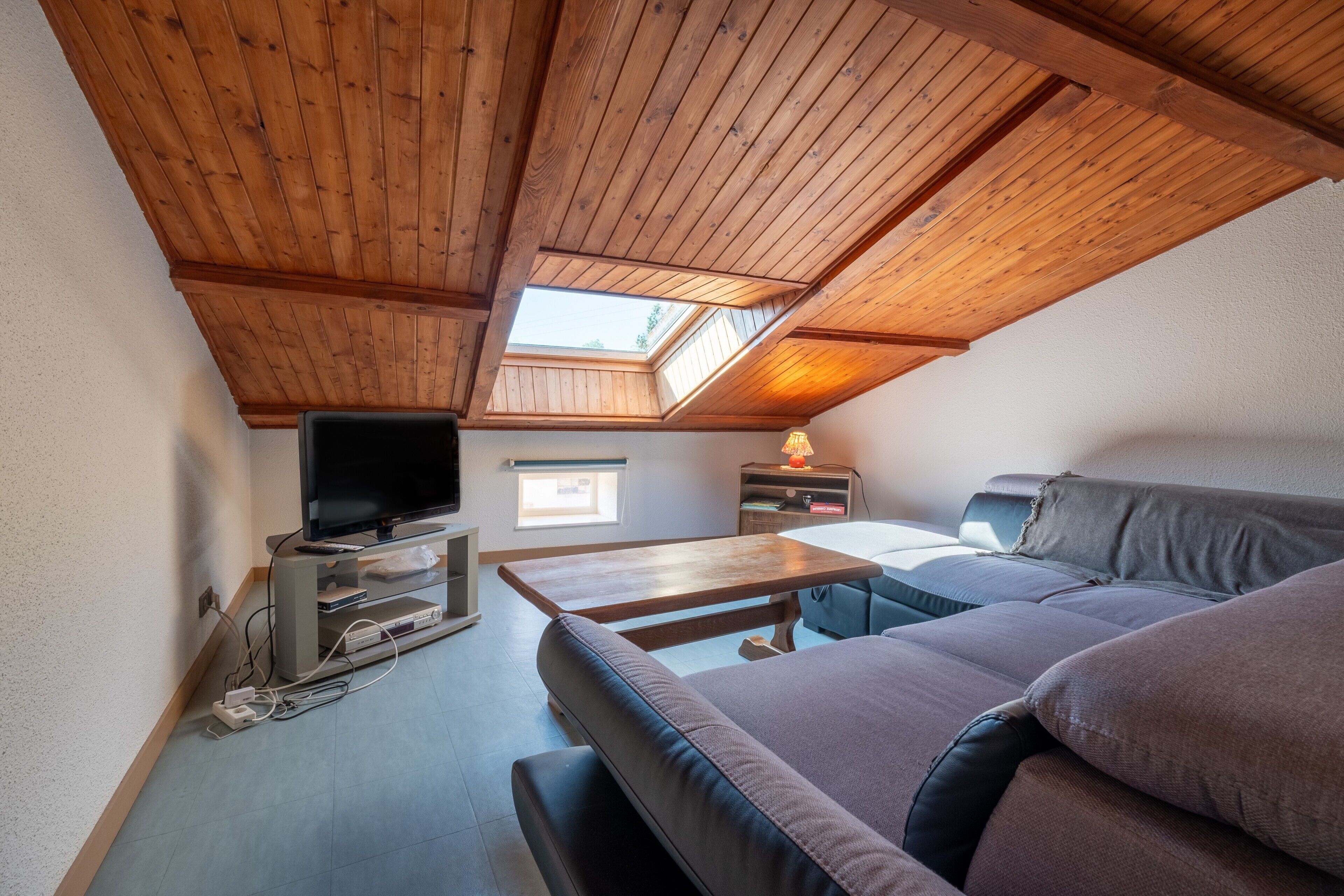 TV, fireplace, ping pong