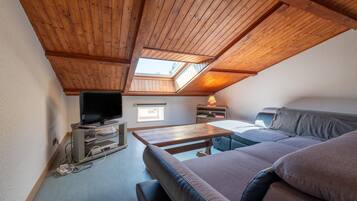 TV, fireplace, ping pong