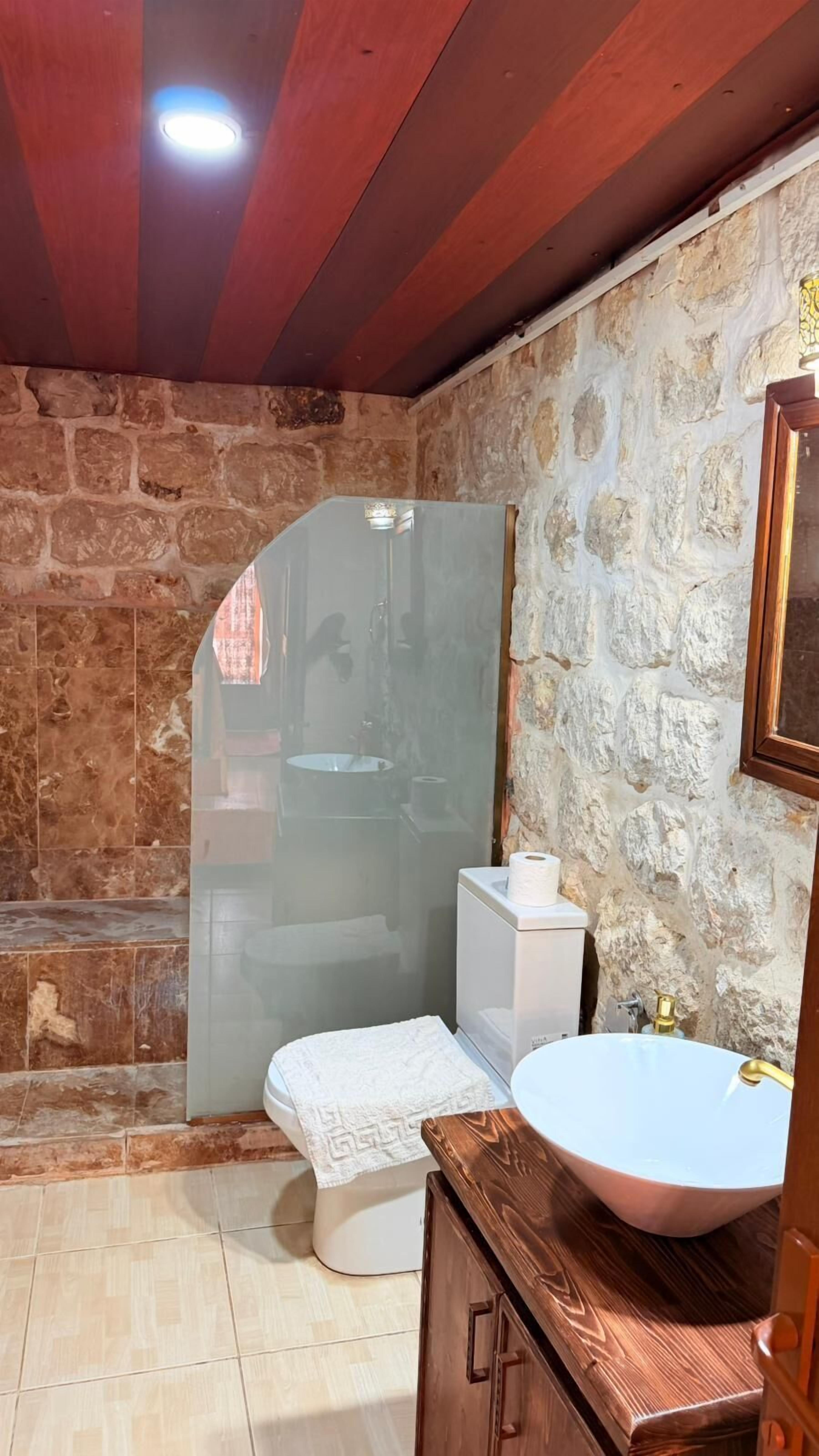 Une salle de bain avec un mur en pierre, une douche en verre, des toilettes blanches, un lavabo avec un plan de travail en cuivre et un miroir.