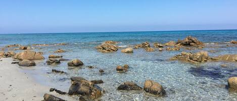 在海灘附近、沙灘巾