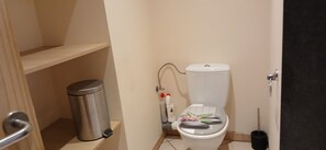 Chuveiro, secador de cabelo, toalhas de banho, papel higiênico