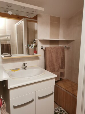 Shower, hair dryer, towels, toilet paper - Cosy studio in a great location (La Chapelle-d'Abondance)
