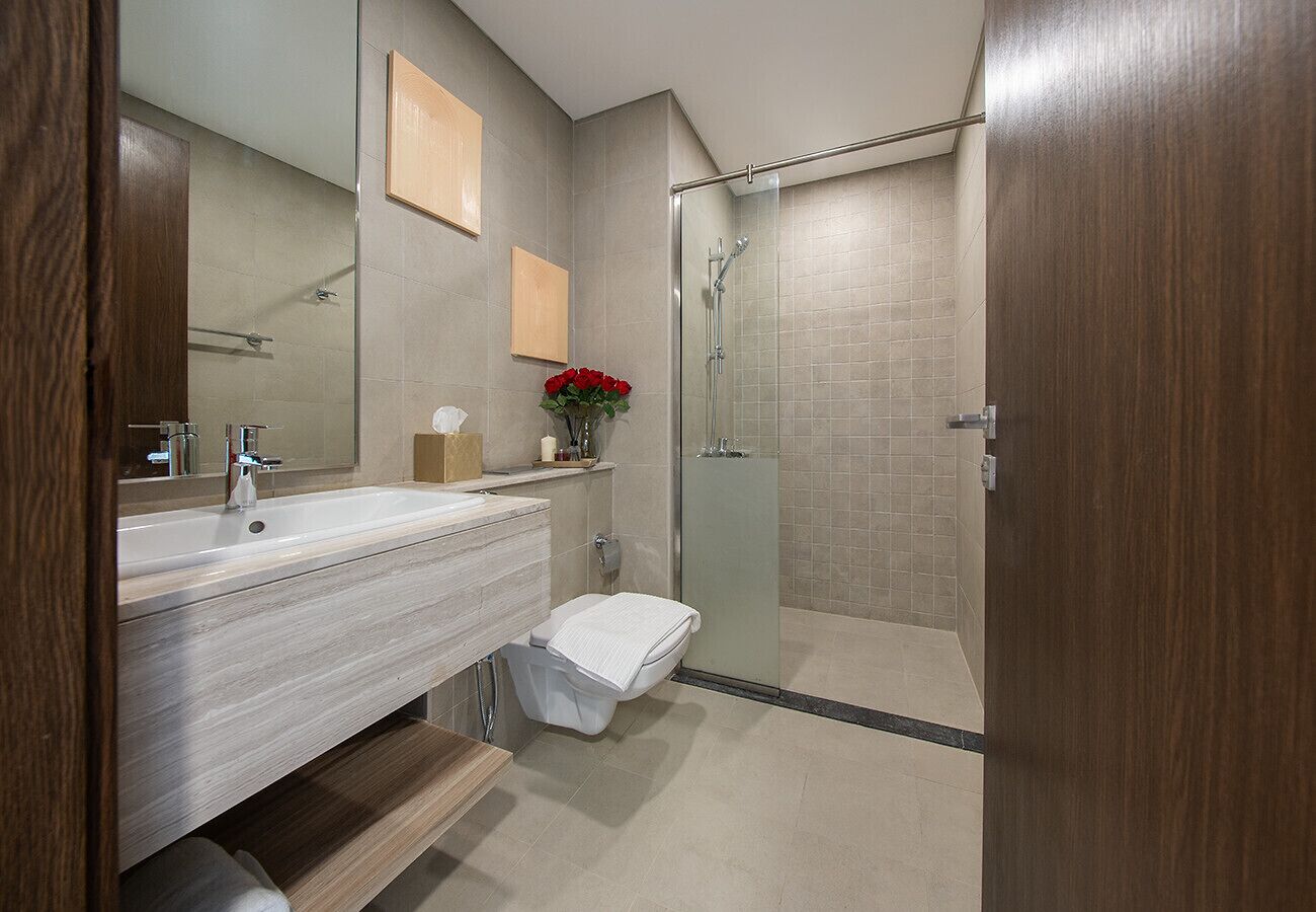 Shower, hair dryer, bidet, towels