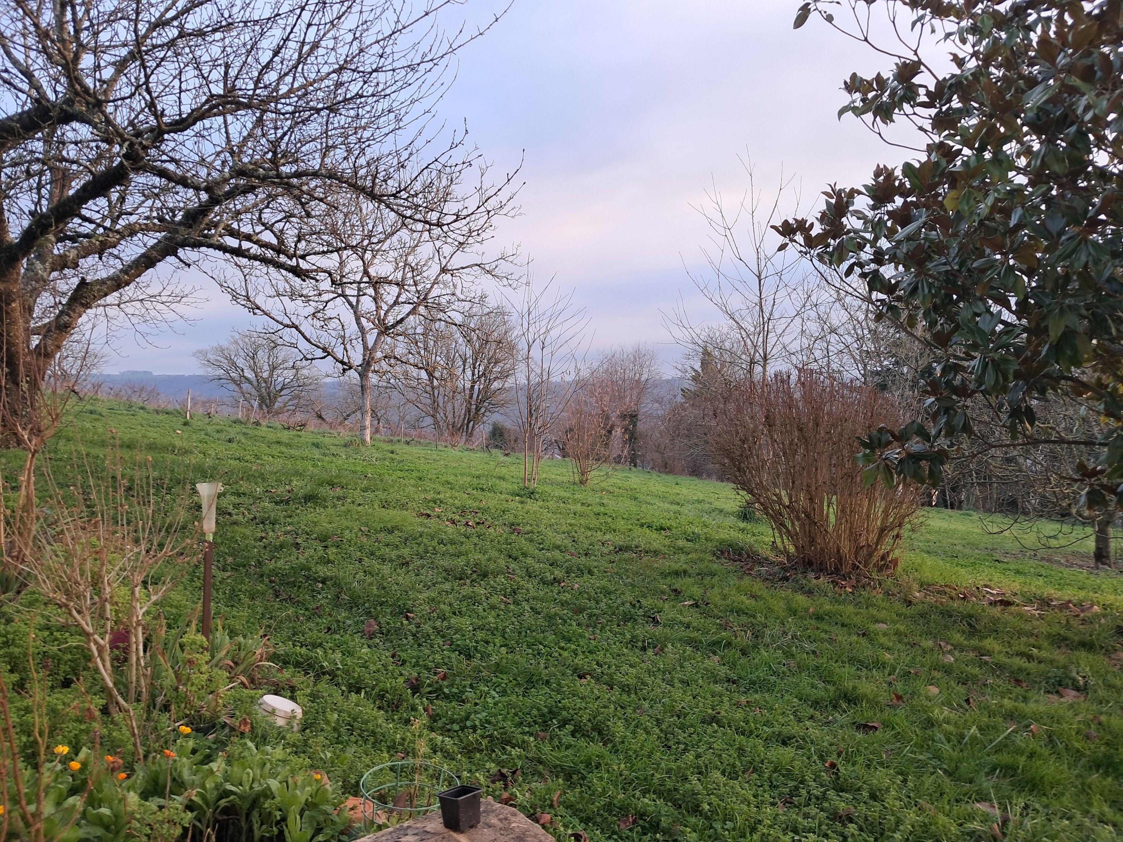 Jardines del alojamiento
