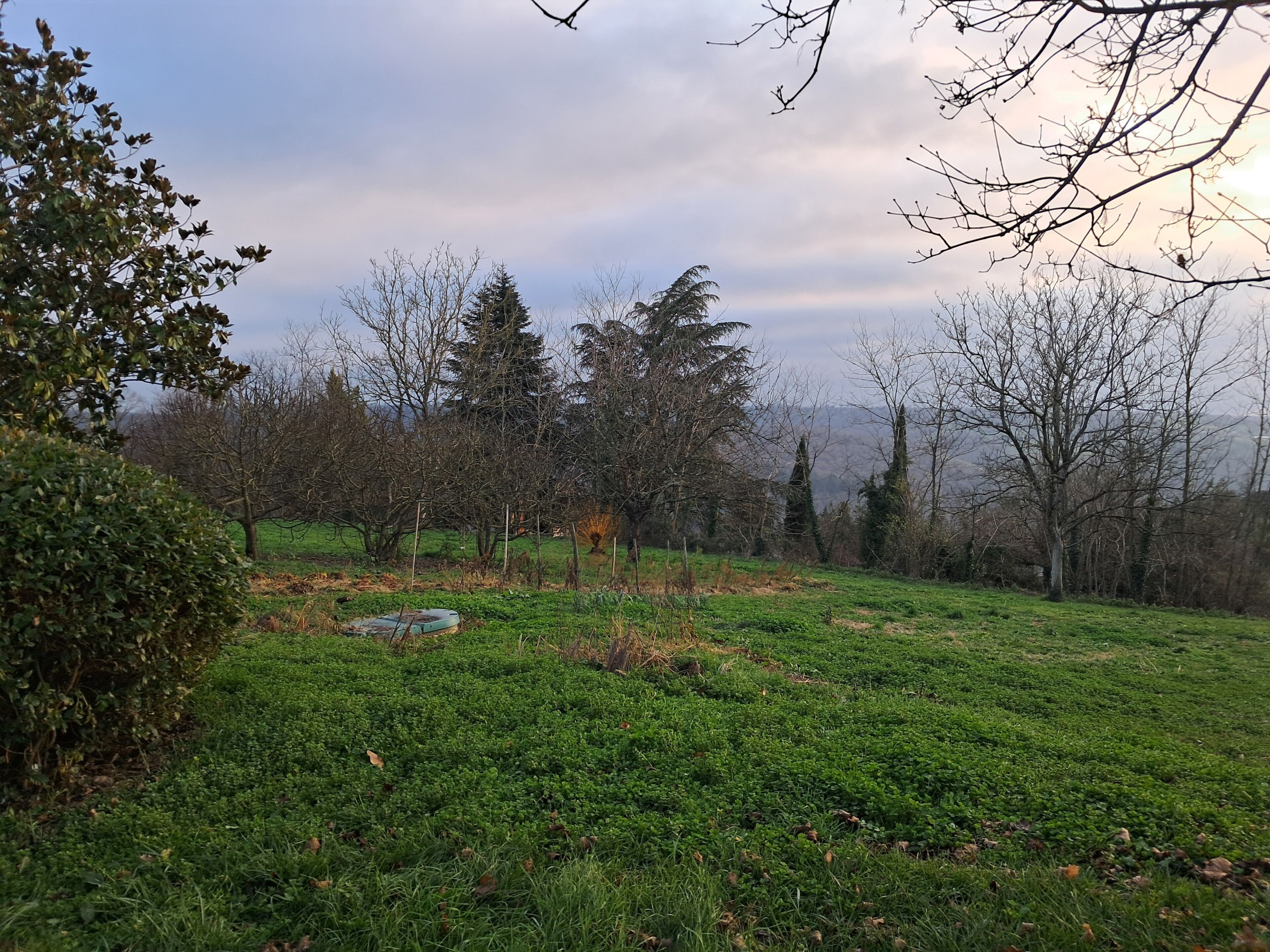 Parco della struttura