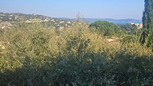 Paesaggio con cielo sereno, vegetazione lussureggiante e edifici in lontananza.