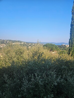 Eine Landschaft mit blauem Himmel, dichter Vegetation und Gebäuden in der Ferne.