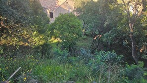 Un edificio rustico circondato da vegetazione lussureggiante, con una vista aperta sul paesaggio circostante.