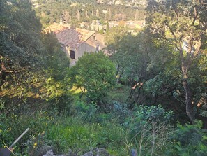 Ein rustikales Gebäude, umgeben von dichtem Grün, mit freiem Blick auf die umliegende Landschaft.