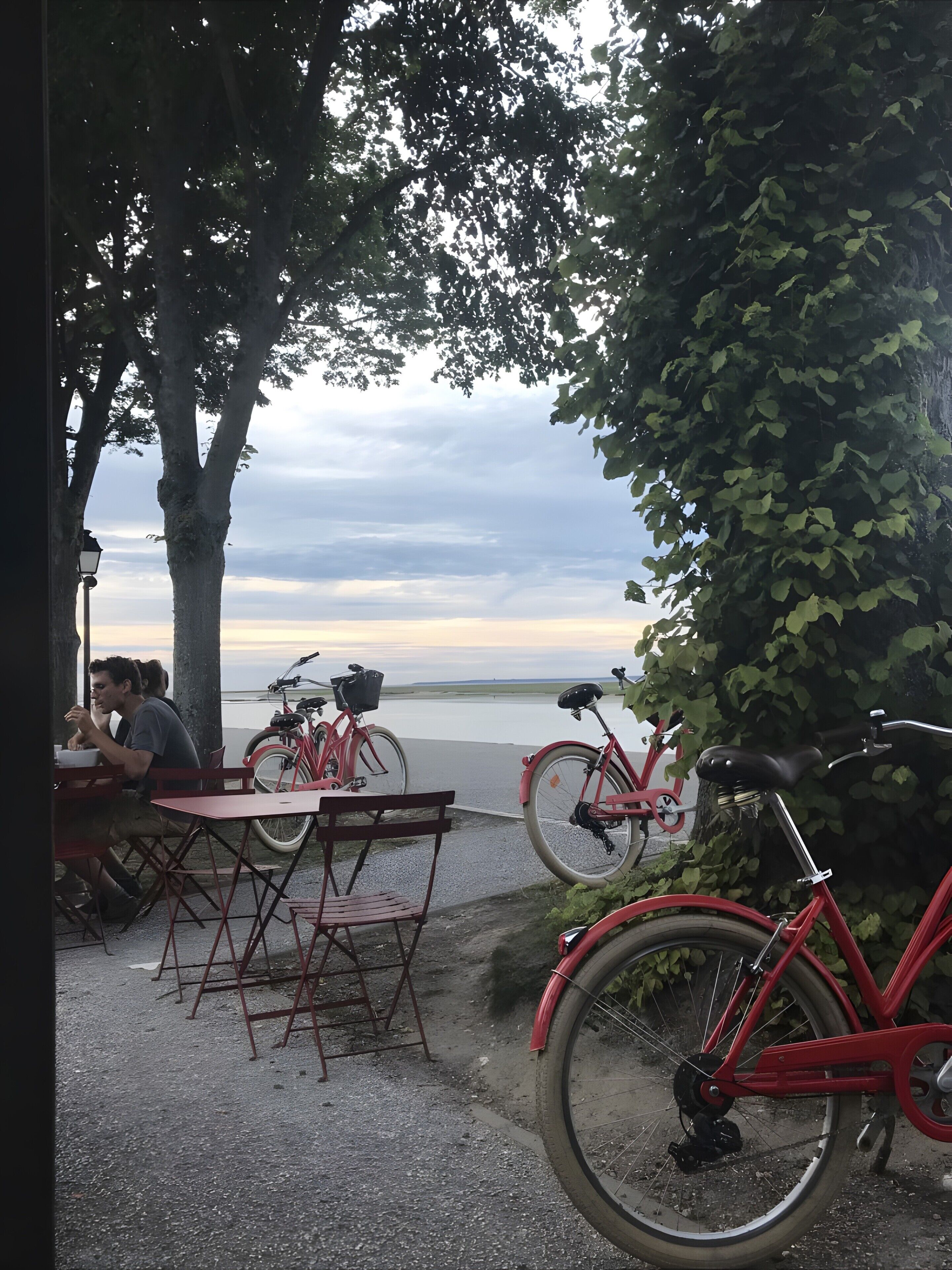 Une table et des chaises à l’extérieur, avec des vélos garés à proximité, un arbre et une vue sur l’eau.
