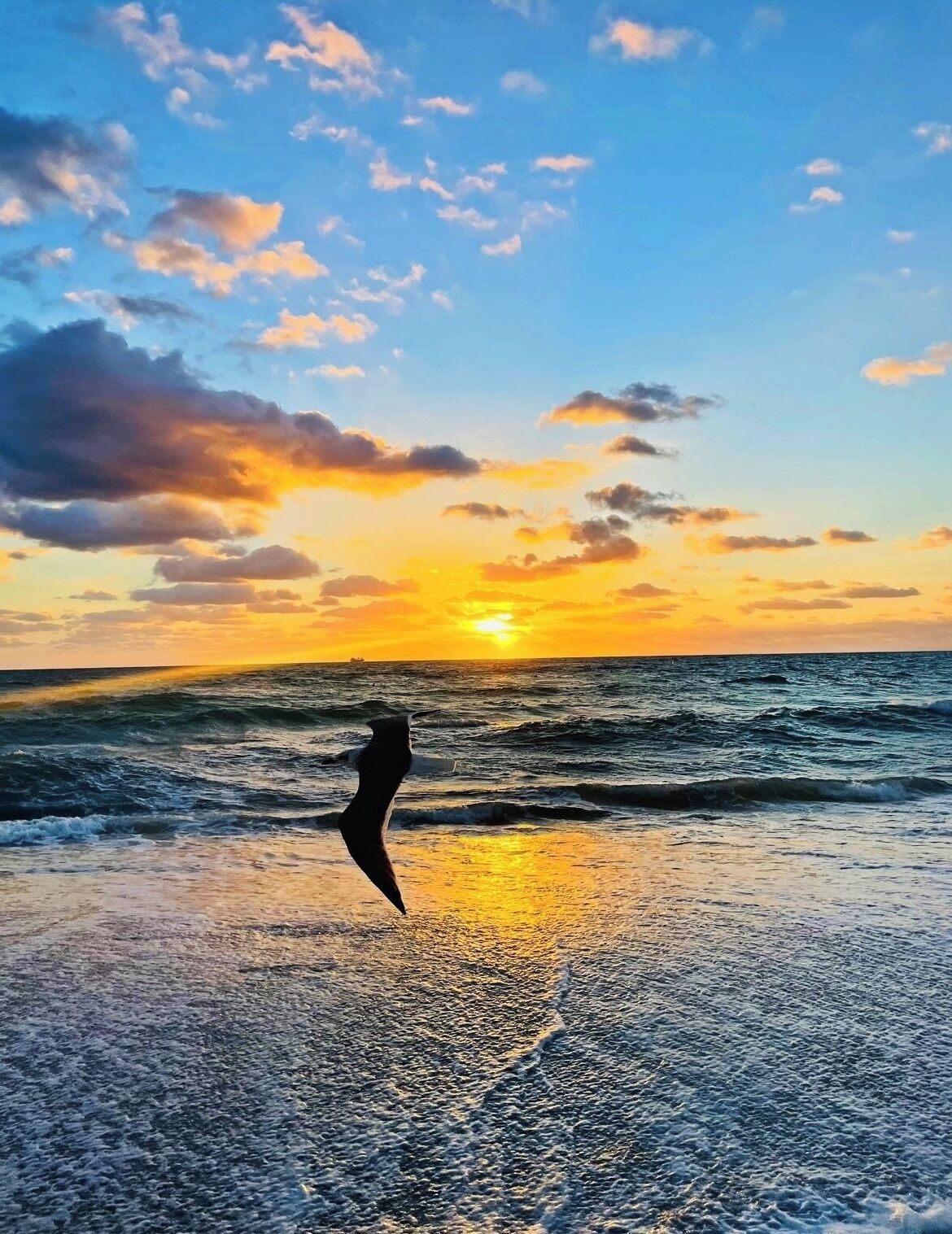 شاطئ