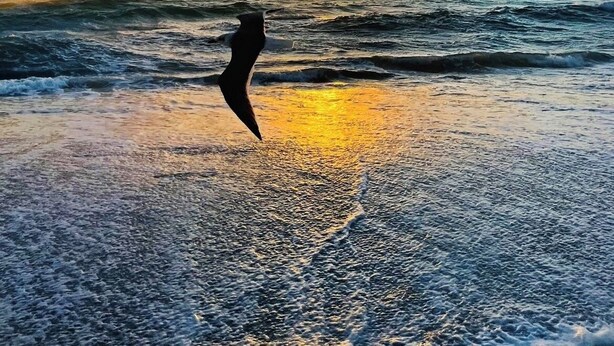 Een strandscène met golven en een zonsondergang.